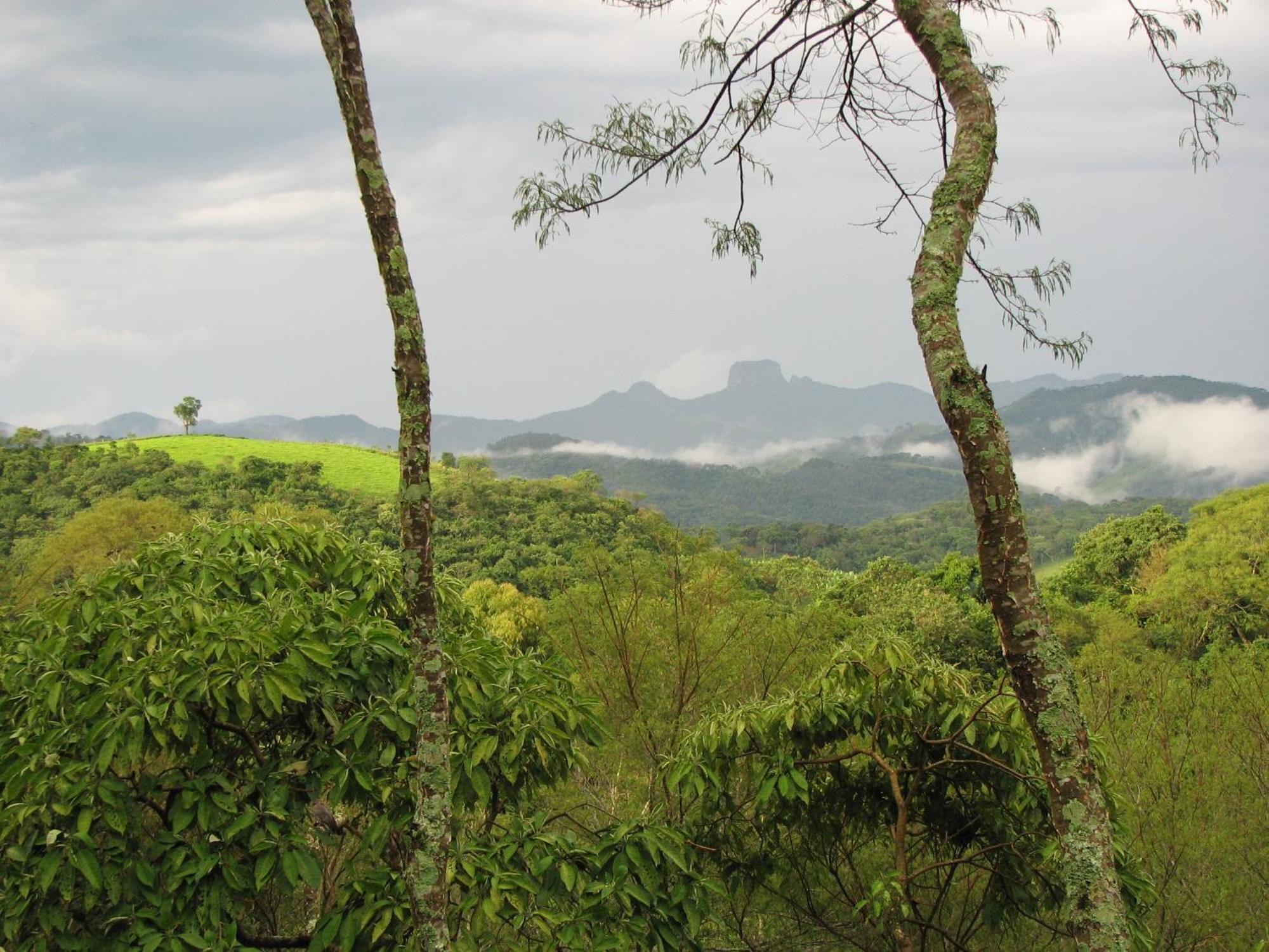 Champagny Pousada Santo Antônio do Pinhal المظهر الخارجي الصورة